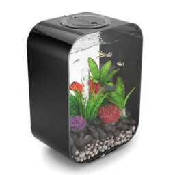 Oase Biorb Life 15L Aquarium Fish Tank In Black With Multi Colour Led Lighting - thumbnail 4