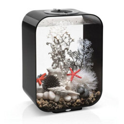Oase Biorb Life 15L Aquarium Fish Tank In Black With Multi Colour Led Lighting - thumbnail 3