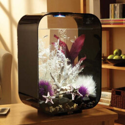 Oase Biorb Life 15L Aquarium Fish Tank In Black With Multi Colour Led Lighting - thumbnail 2