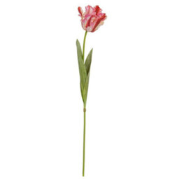 Hill Interiors Multi Pink Parrot Tulip Artificial Flower - Plastic - H69 Cm - Green