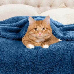 Ameha Fleece Plain Blanket, Lightweight & Reversible Throw For Travel, Bed & Sofa Blanket, Teal King 200X240Cm - thumbnail 7