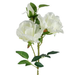 Leaf Pack Of 6 X 80Cm Artificial White Rose Stem - 18 Flowers - thumbnail 5