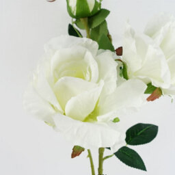 Leaf Pack Of 6 X 80Cm Artificial White Rose Stem - 18 Flowers - thumbnail 3
