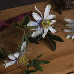 Wyld Haus Set Of 3 Artificial Passion Flower Sprays, White, 890mm Tall - thumbnail 6