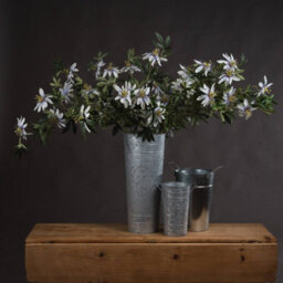 Wyld Haus Set Of 3 Artificial Passion Flower Sprays, White, 890mm Tall - thumbnail 4