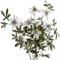 Wyld Haus Set Of 3 Artificial Passion Flower Sprays, White, 890mm Tall - thumbnail 2