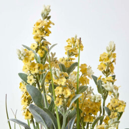 Homescapes Artificial Yellow Handcrafted Lavender Plant In Decorative Metallic Ceramic Pot, 66 Cm - thumbnail 4