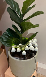 Lumineo 20 White Mushroom Stake Lights Mini Christmas Led Pathway Lights Warm White - thumbnail 4