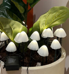 Lumineo 20 White Mushroom Stake Lights Mini Christmas Led Pathway Lights Warm White - thumbnail 5