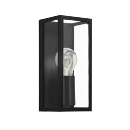 Eglo Amezola Black And Clear Metal And Glass Ip44 Bathroom Or Outdoor Wall Or Ceiling Light, (W) 11Cm - thumbnail 3