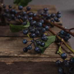Hill Interiors Artificial Faux Viburnum Berry Spray Blue/green/brown (80Cm) - thumbnail 4