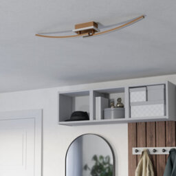 Eglo Lungolago Bronze Steel Minimalist Ceiling Light 901219 - thumbnail 2