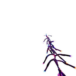 Samuel Alexander 6.2M 480 Led Christmas Cluster String Lights With Timer In Rainbow - thumbnail 9