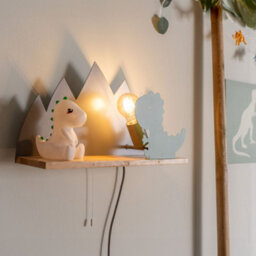 Valuelights Kids Green And Grey Dinosaur Design Plug In Wall Light With Shelf And Pull Cord Switch - Including Bulb - thumbnail 3