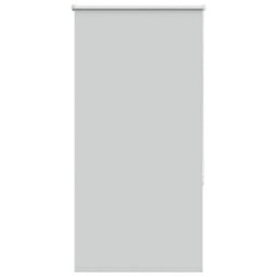 Walplus Light Grey Blackout Roller Blind 85X150 Cm, Fabric Width 80.7 Cm, Polyester