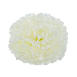 Essential Ivory Carnation Pick Box Of 144 - White - thumbnail 2