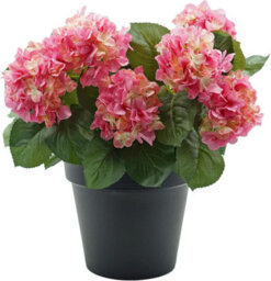 Greenbrokers Premium Quality Artificial Pink Hydrangea Flower Bush In Black Pot (50Cm) With Nine Flower Clusters - thumbnail 1