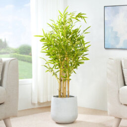 MCC Direct Artificial Plant Bamboo Tree Indoor House Plant 110Cm - thumbnail 1
