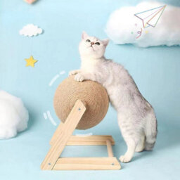 A Cat Scratching Toy Natural Sisal Rotatable Ball Interactive Kitten Scratcher Toy - thumbnail 4