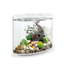 Oase Biorb Loop 30L Aquarium Fish Tank In White With Mcr Led Lighting