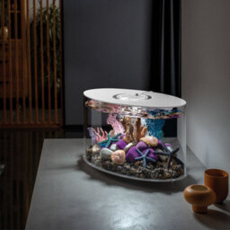 Oase Biorb Loop 30L Aquarium Fish Tank In White With Mcr Led Lighting - thumbnail 2