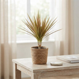 Mixed Green Houseplant Basket 'gaby' - 14Cm Pot - thumbnail 4