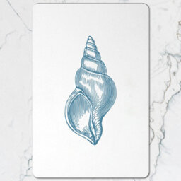 Benjamin Tate Design Blue Shell Designer Placemat And Coaster Set Of 12 Marine Collection Limited Edition With Wood Base - thumbnail 2