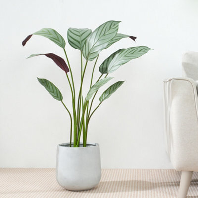 MCC Direct Artificial Plant Bird Of Paradise Tree Indoor House Plant 90Cm - image 1