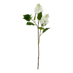 Wyld Haus Set Of 3 White Lilac Artificial Flower Stems 750mm Plastic - thumbnail 1