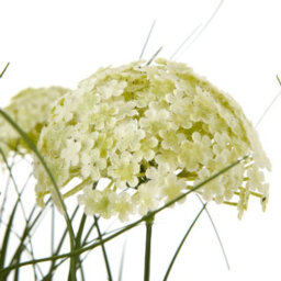 Hill Interiors Allium Artificial Potted Plant White (One Size) - thumbnail 3