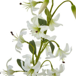 Hill Interiors Turks Cap Lily Spray Artificial Flower Green (One Size) - thumbnail 2