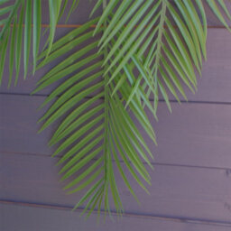 Leaf Pack Of 12 X 120Cm Artificial Hanging Palm Plant - thumbnail 3