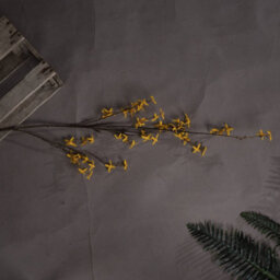 Wyld Haus Set Of 3 Artificial Forsythia Stems 1080mm Tall Faux Yellow Flowers - thumbnail 5