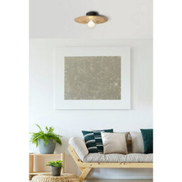 Luminosa Lighting Luminosa Riga Globe Ceiling Light Matt Black 1X G9 - thumbnail 4