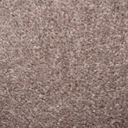 Carpet Shop Online Trent Twist Brown Carpet Felt Back 4M X 4M - thumbnail 6