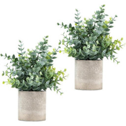 CLEFFNS 2 Pcs Small Fake Plants Eucalyptus, Artificial Plants Indoor For Shelf, Potted Eucalyptus Plants For Home Coffee Table Decor - thumbnail 1