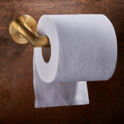 Mitred Bathroom Toilet Roll Holder On Rose Concealed Fix Satin Pvd - thumbnail 2