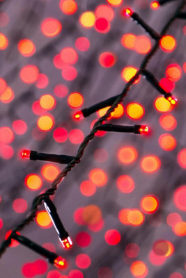 Christmas Tree World 480 Multi Function Led Lights - Red - image 1