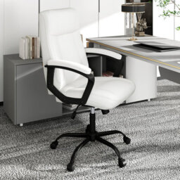 Gainoom Upholstered Beige Executive Chair Ergonomic Computer Desk Chair - thumbnail 8