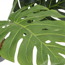 Darphe 85 Cm Artificial Tropical Monstera Plant In A Pot (Fake Plant) - thumbnail 6