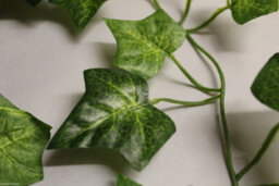 6 Best Artificial 7Ft - 210Cm English Ivy Garland String Strand Twine Decoration - Il03 - thumbnail 2