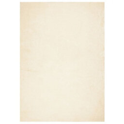Berkfield Rug Huarte Short Pile Soft And Washable Cream 120X170 Cm - thumbnail 2