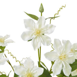 Wyld Haus Set Of 3 Cream Pearl Clematis Artificial Flower Sprays, 780mm Tall - thumbnail 3
