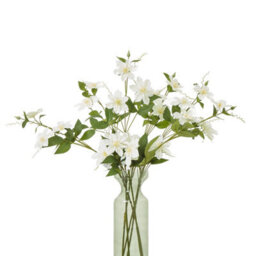 Wyld Haus Set Of 3 Cream Pearl Clematis Artificial Flower Sprays, 780mm Tall - thumbnail 2
