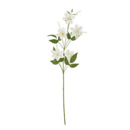 Wyld Haus Set Of 3 Cream Pearl Clematis Artificial Flower Sprays, 780mm Tall - thumbnail 1