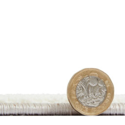 Beige/silver Luxurious Modern Easy To Clean Rug For Dining Room-120Cm X 170Cm - thumbnail 4