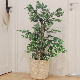 Urbn-Living Standard Green, Set Of 2 - Artificial Faux Plant Tree - thumbnail 3