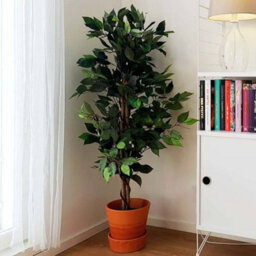 Urbn-Living Standard Green, Set Of 2 - Artificial Faux Plant Tree - thumbnail 5