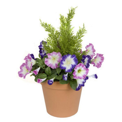 GreenBrokers Pink & Purple Petunia Terracotta Patio Planter 60Cm/24In - image 1