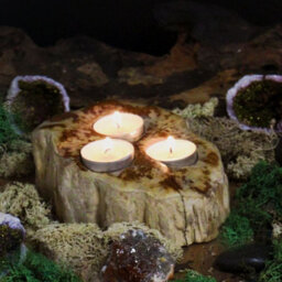 Serenityy Petrified Wood Triple Tealight Candle Holder - Hand-Carved Rustic Brown - thumbnail 4